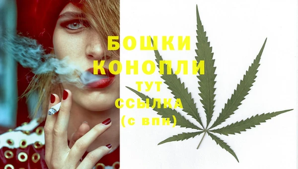 индика Белокуриха