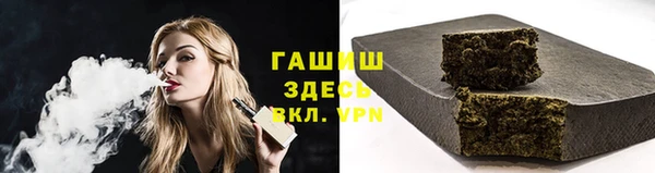 индика Белокуриха
