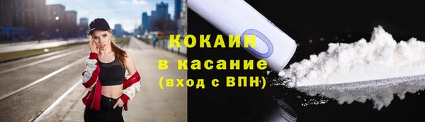 индика Белокуриха