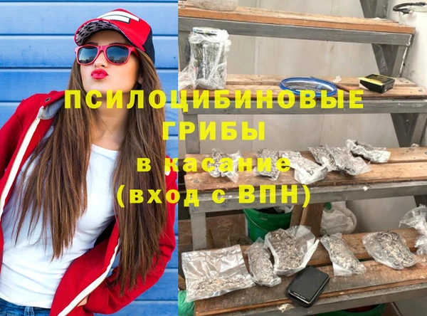 индика Белокуриха