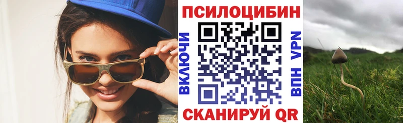 Псилоцибиновые грибы мицелий  Купить где  Петушки 